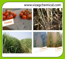 AGRISOL B 15
