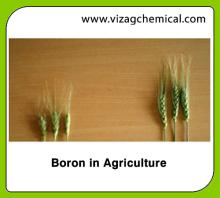 Boron