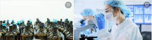 Sodium trimetaphosphate  STMP manufacturers, and suppliers in  India